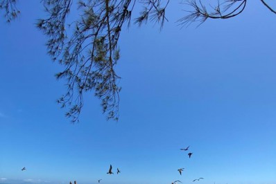 Encontro de Cultura Popular de Búzios atraiu as 5 regiões do Brasil neste fim de semana