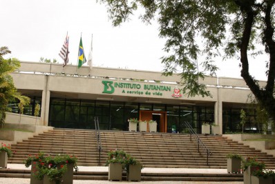 Vacina contra a dengue do Butantan atinge eficácia de 79,6%