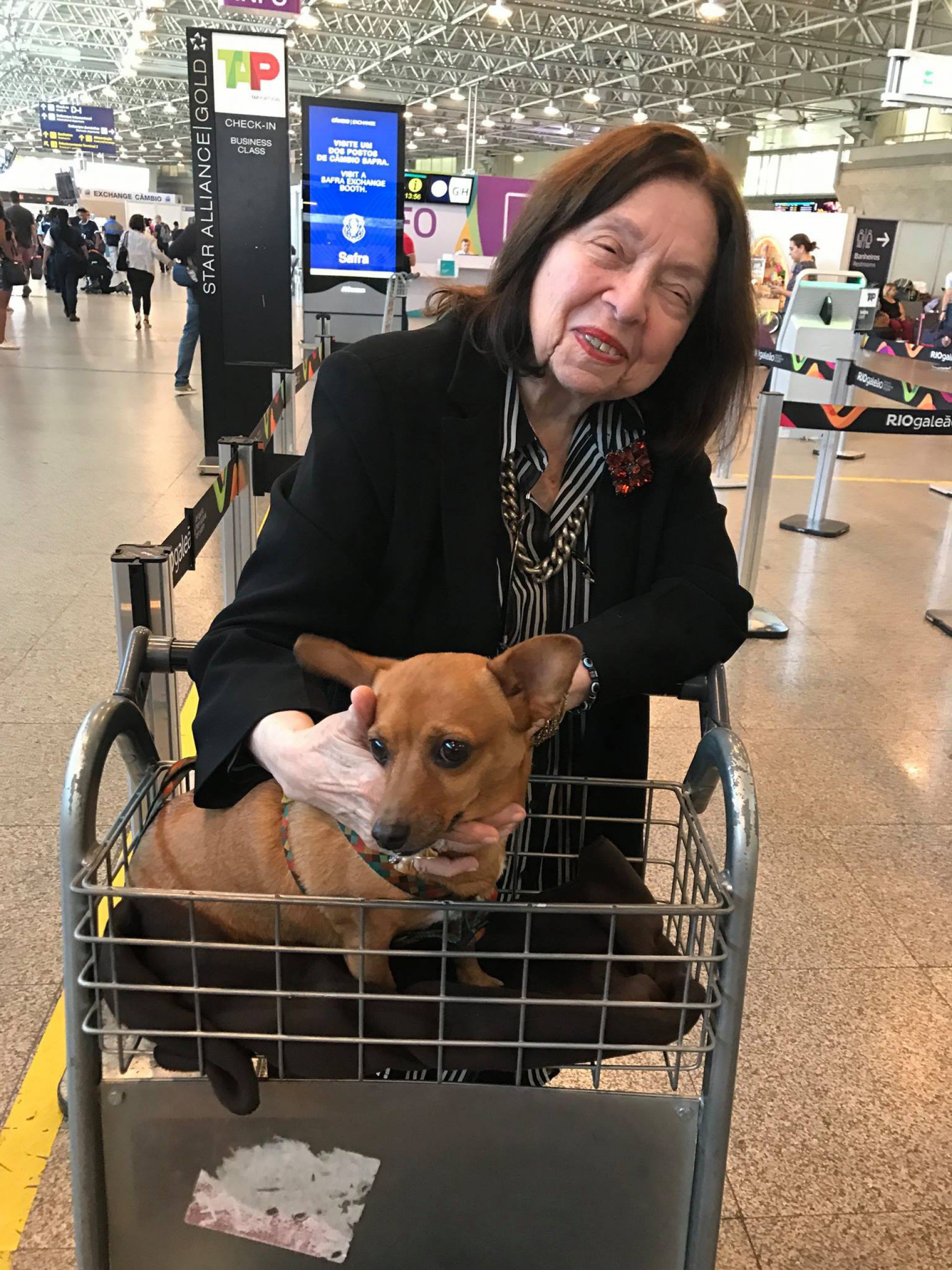 Cadelas de Nélida tinham passaporte europeu - Reprodução/Facebook