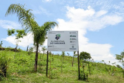 Programa Florestas do Amanhã apresenta primeiros resultados em Meriti