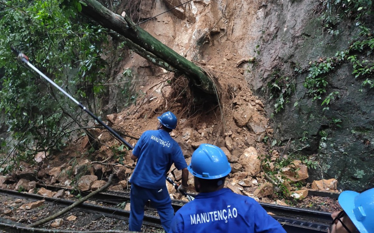 Funcionários da manutenção do trem e trilheiros do Parque Nacional da Tijuca estão trabalhando no local para desobstruir e reparar a via férrea - Divulgação / Trem do Corcovado