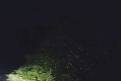 Queda de árvores interrompe trânsito no centro da cidade