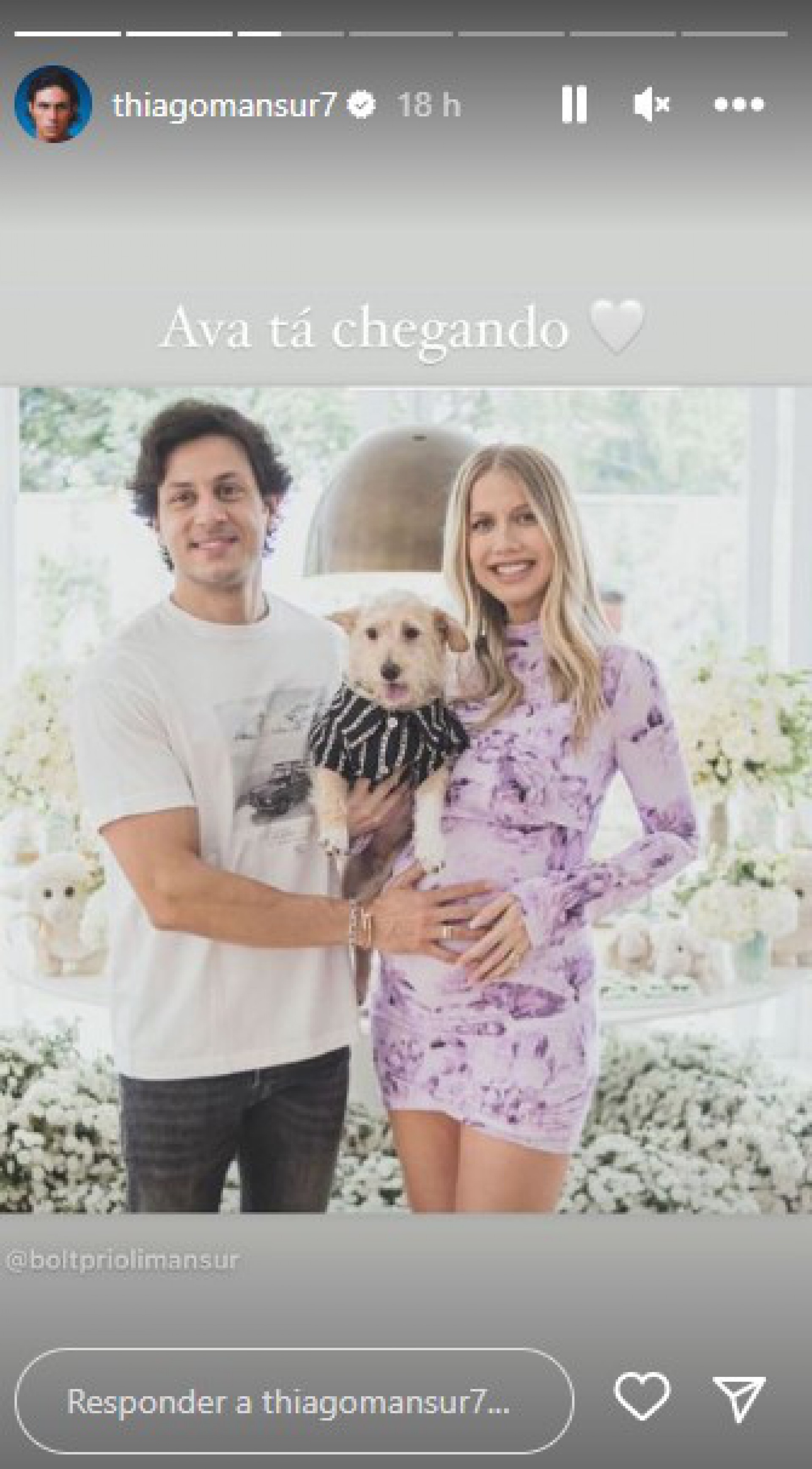 Thiago Mansur avisa que Ava, sua primeira filha com Gabriela Prioli, está a caminho - Reprodução Internet