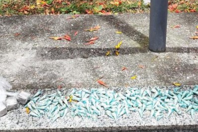 Três pessoas são presas por tráfico de drogas na Região dos Lagos