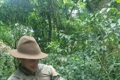 Jararaca é resgatada pela Guarda Ambiental de Saquarema em Sampaio Corrêa