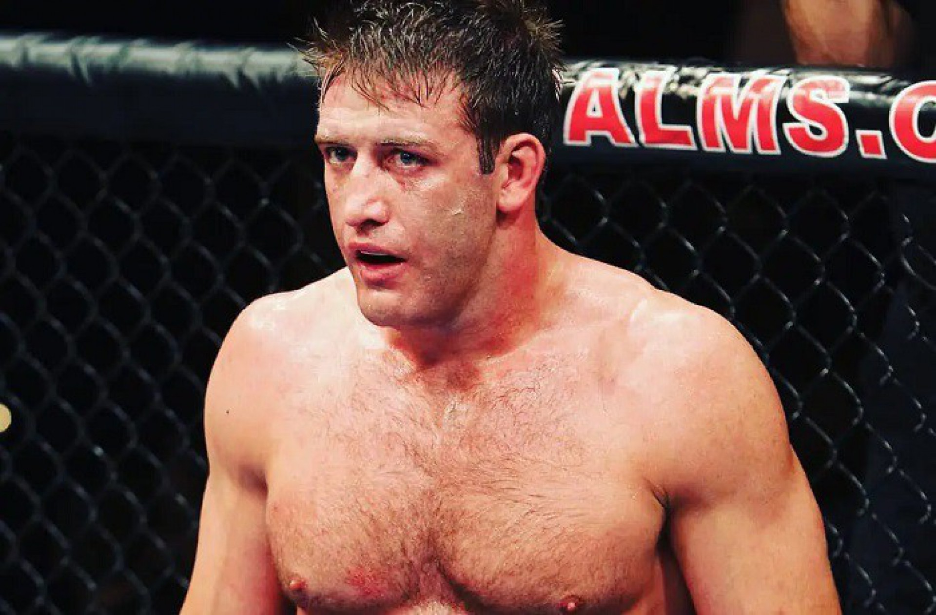 Stephan Bonnar era uma das estrelas do UFC enquanto competia - (Foto: Reprodução UFC)