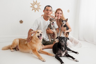 Pesquisa aponta que 85% dos animais têm medo de fogos; Confira cuidados na virada