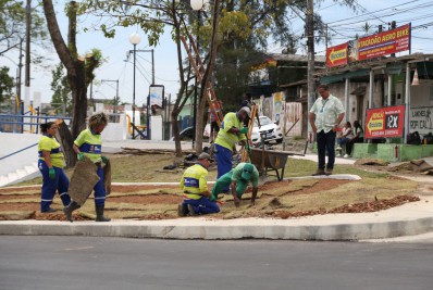 Mudas e árvores são preparadas para replantio na Praça Chico Mendes