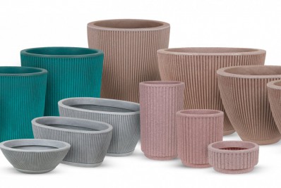 Prepare a casa para o ano novo com cores e plantas