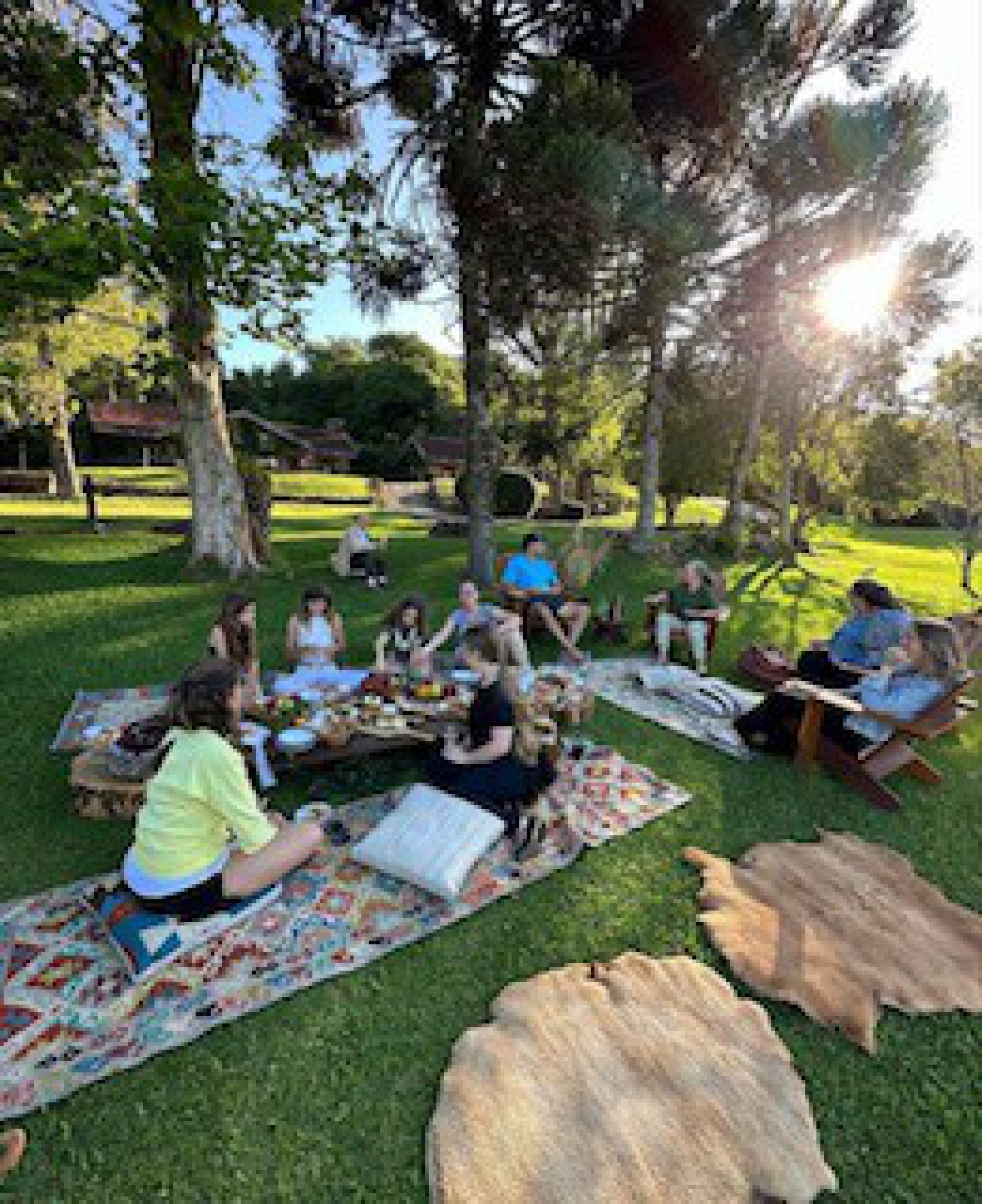 Gisele Bündchen abre álbum de fotos de sua temporada no Brasil - Reprodução / Instagram