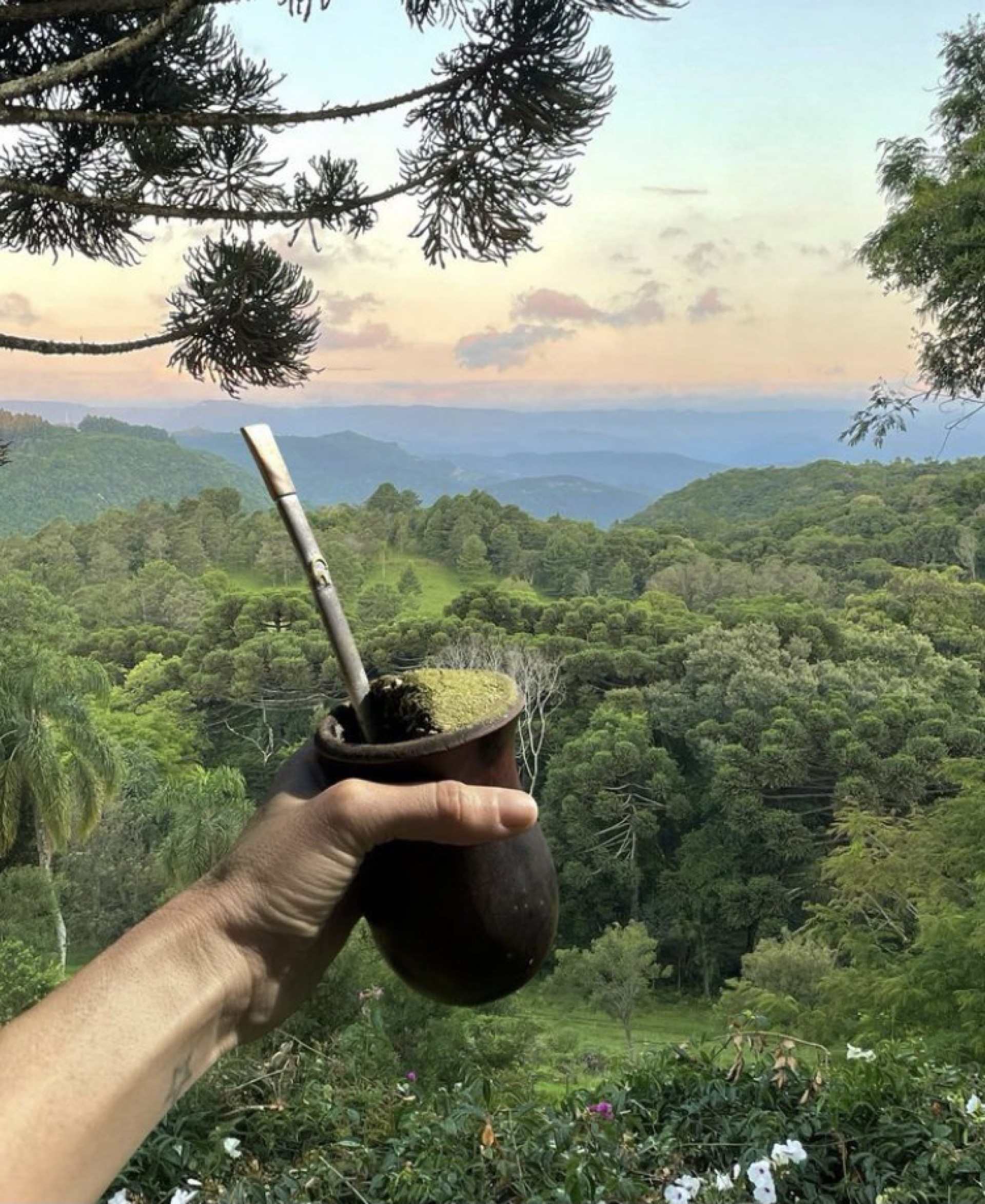 Gisele Bündchen abre álbum de fotos de sua temporada no Brasil - Reprodução / Instagram