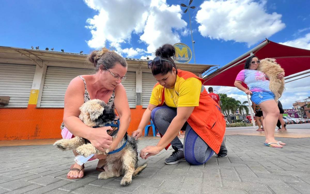 A Campanha de Vacina&ccedil;&atilde;o Antirr&aacute;bica percorreu diversos bairros da cidade