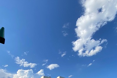 Jogadores do Fluminense se apresentam para início de pré-temporada