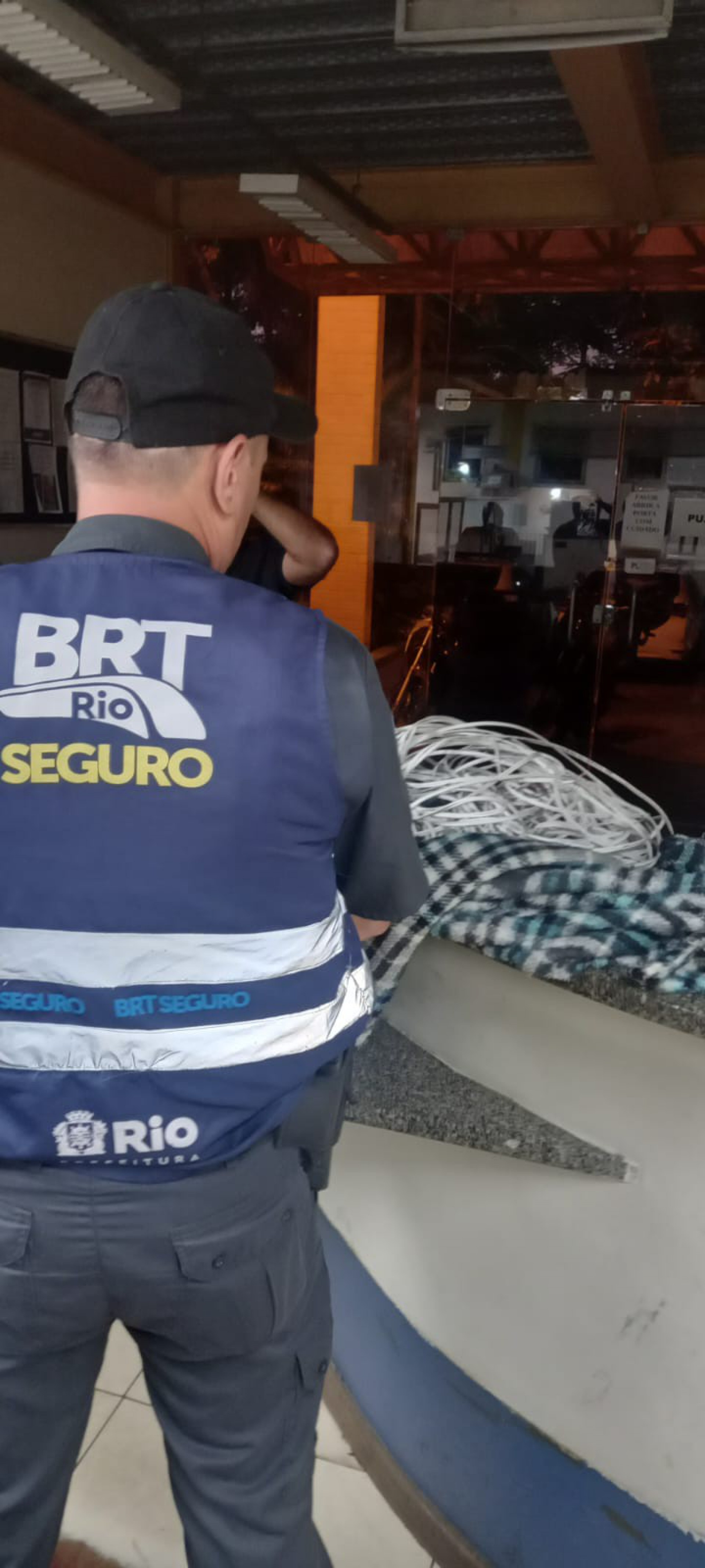 Mangueiras recuperadas - Divulgação