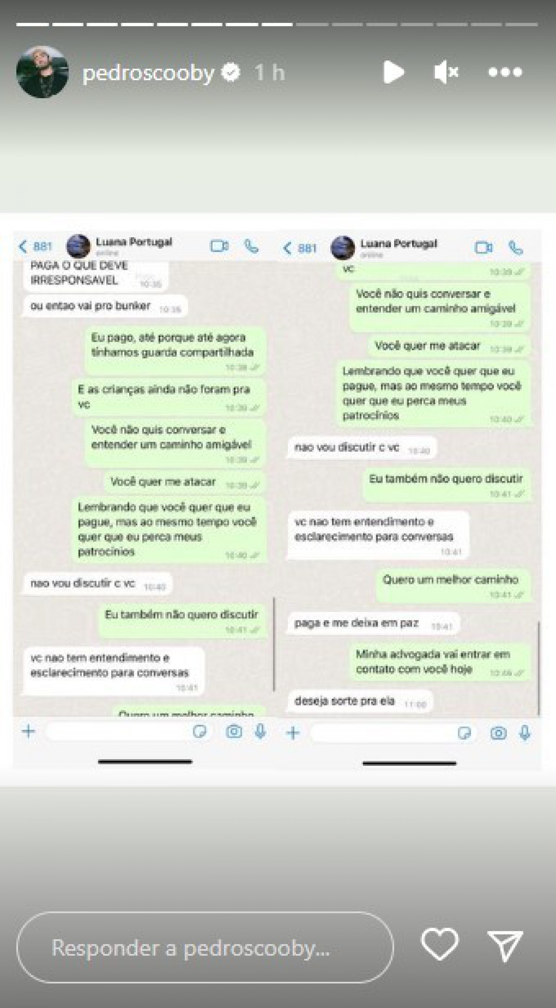 Pedro Scooby faz declaração sobre polêmica com Luana Piovani - Reprodução Internet