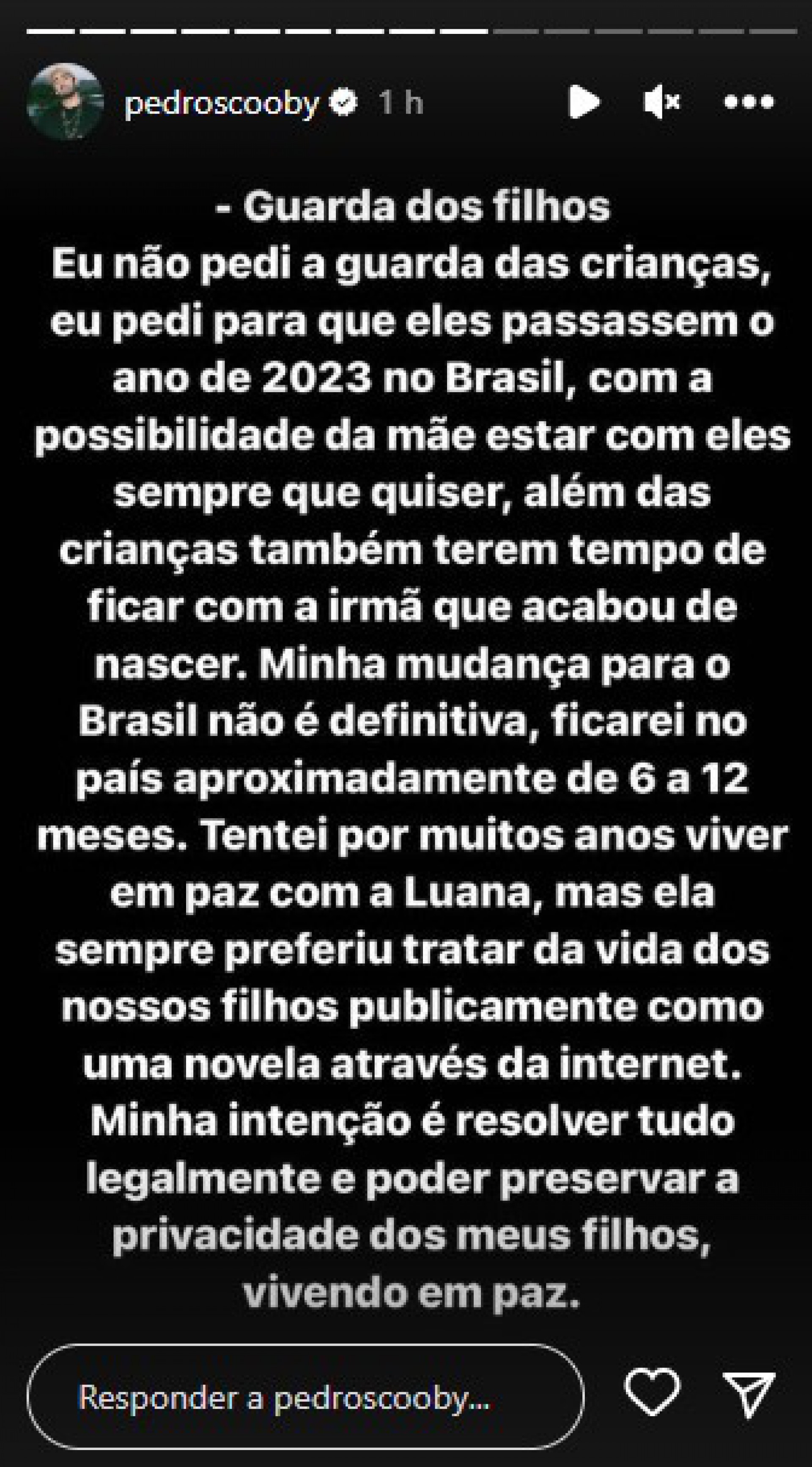 Pedro Scooby faz declaração sobre polêmica com Luana Piovani - Reprodução Internet