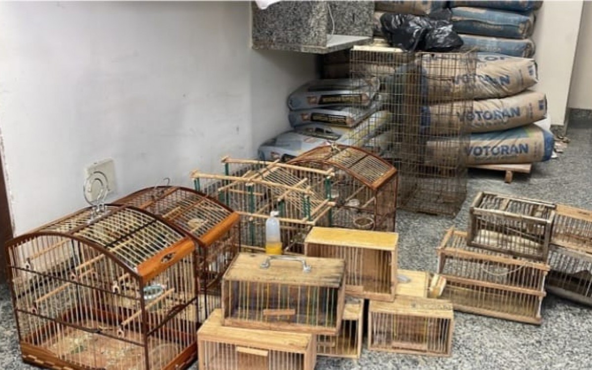 Gaiolas e p&aacute;ssaros silvestres apreendidos pela Pol&iacute;cia Ambiental
