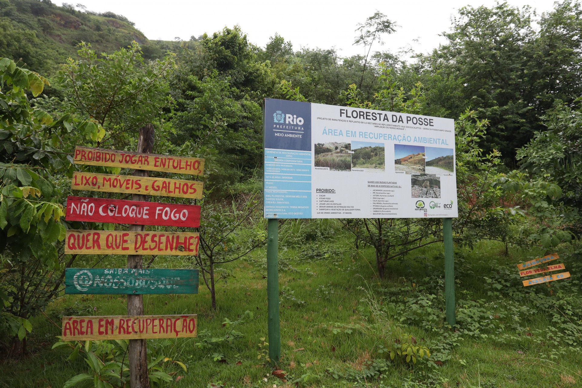 &Aacute;rea de preserva&ccedil;&atilde;o ambiental na Floresta da Posse est&aacute; sendo reflorestada - Pedro Ivo/ Ag&ecirc;ncia O Dia