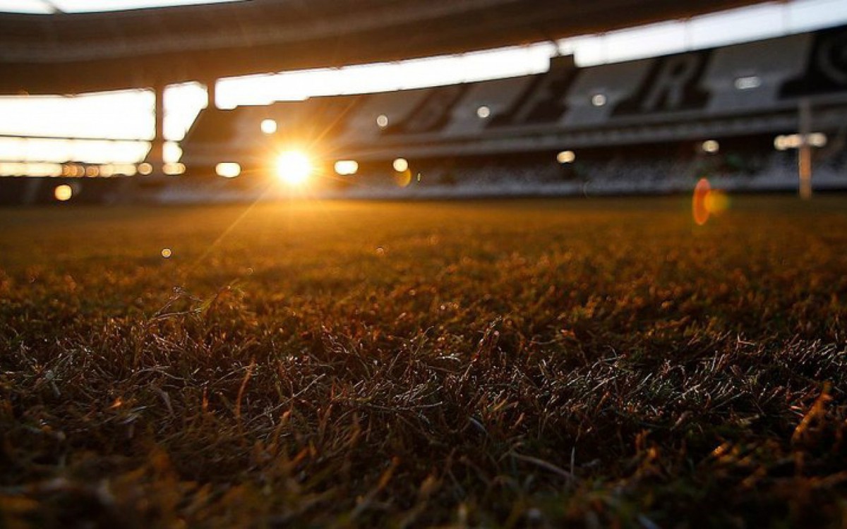 Botafogo passará a ter grama sintética no Estádio Nilton Santos