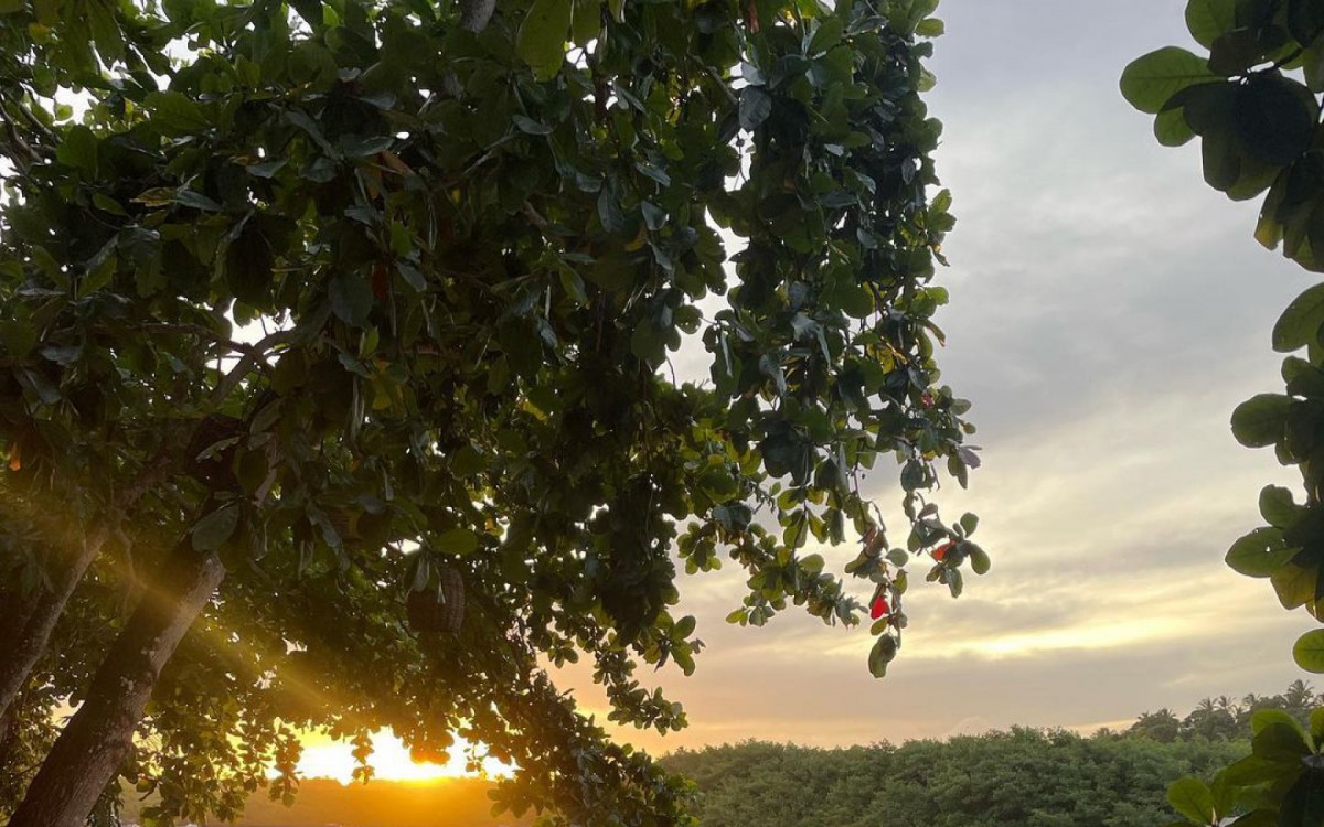 Isis Valverde compartilha fotos em Cara&iacute;va