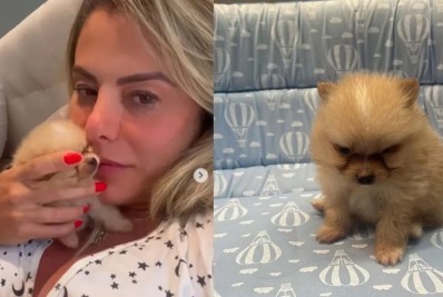 Poliana Rocha ganha novo pet de Leonardo após morte de cachorro de estimação: 'Valorizei'