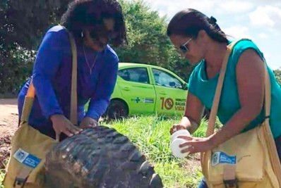 Levantamento aponta baixo nível de infecção pela dengue, mas município mantém ações intensas contra o Aedes
