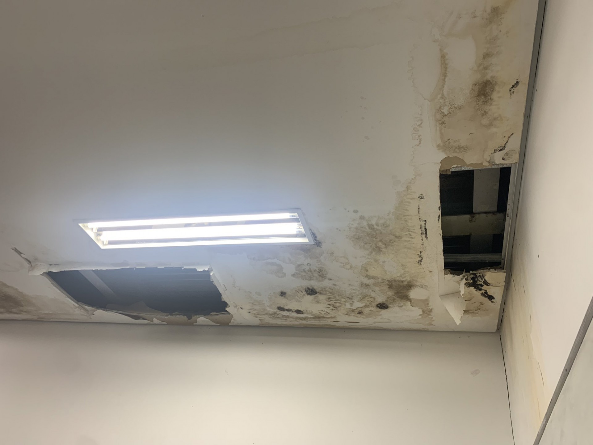 No Bloco C, infiltrações destroem o forro do teto - Reprodução