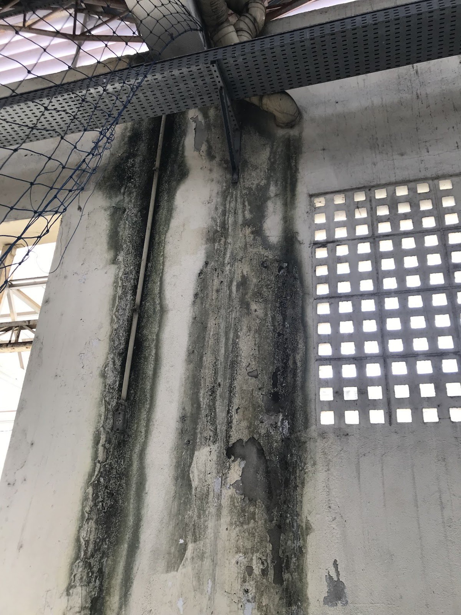 Infiltração e mofo na parede da quadra mais antiga da unidade - Reprodução