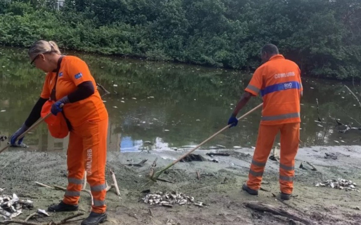 Profissionais da Comlurb recolhem peixes mortos no Complexo lagunar de Marapendi