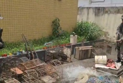 Caçador de animais silvestres é preso pela PM