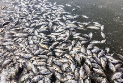 Lagoas: morte anunciada