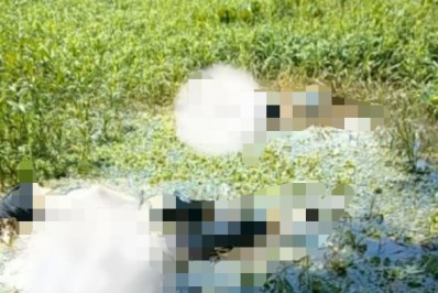 Três corpos são encontrados na margem do Rio Guandu