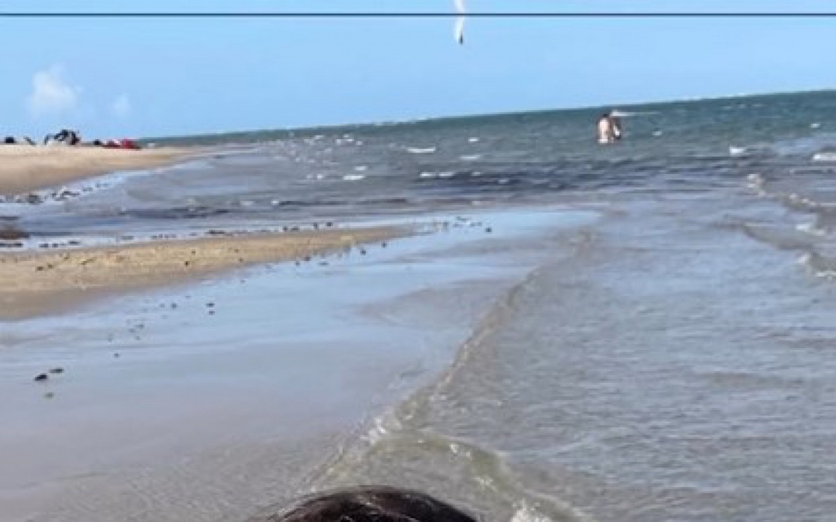 F&aacute;tima Bernardes abre o &aacute;lbum de fotos de viagem ao Cear&aacute;