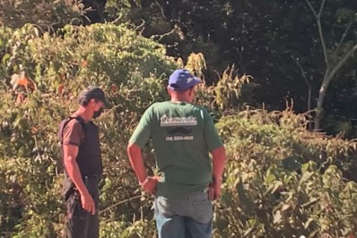 Guarda Ambiental flagra descarte de resíduos em área de preservação