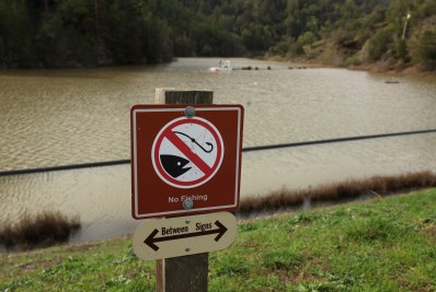 Comer peixe de rio nos Estados Unidos equivale a beber água contaminada por um mês