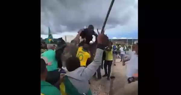 Cavalo agredido por golpistas se recupera da agressão