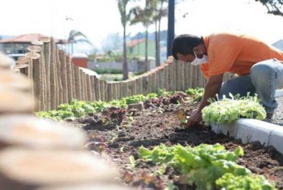Horta comunitária do Parque Nanci tem a primeira colheita de 2023