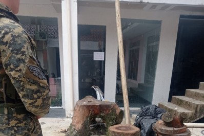 Denúncia leva Polícia Ambiental a identificar corte de árvore e construção irregular em Paraty