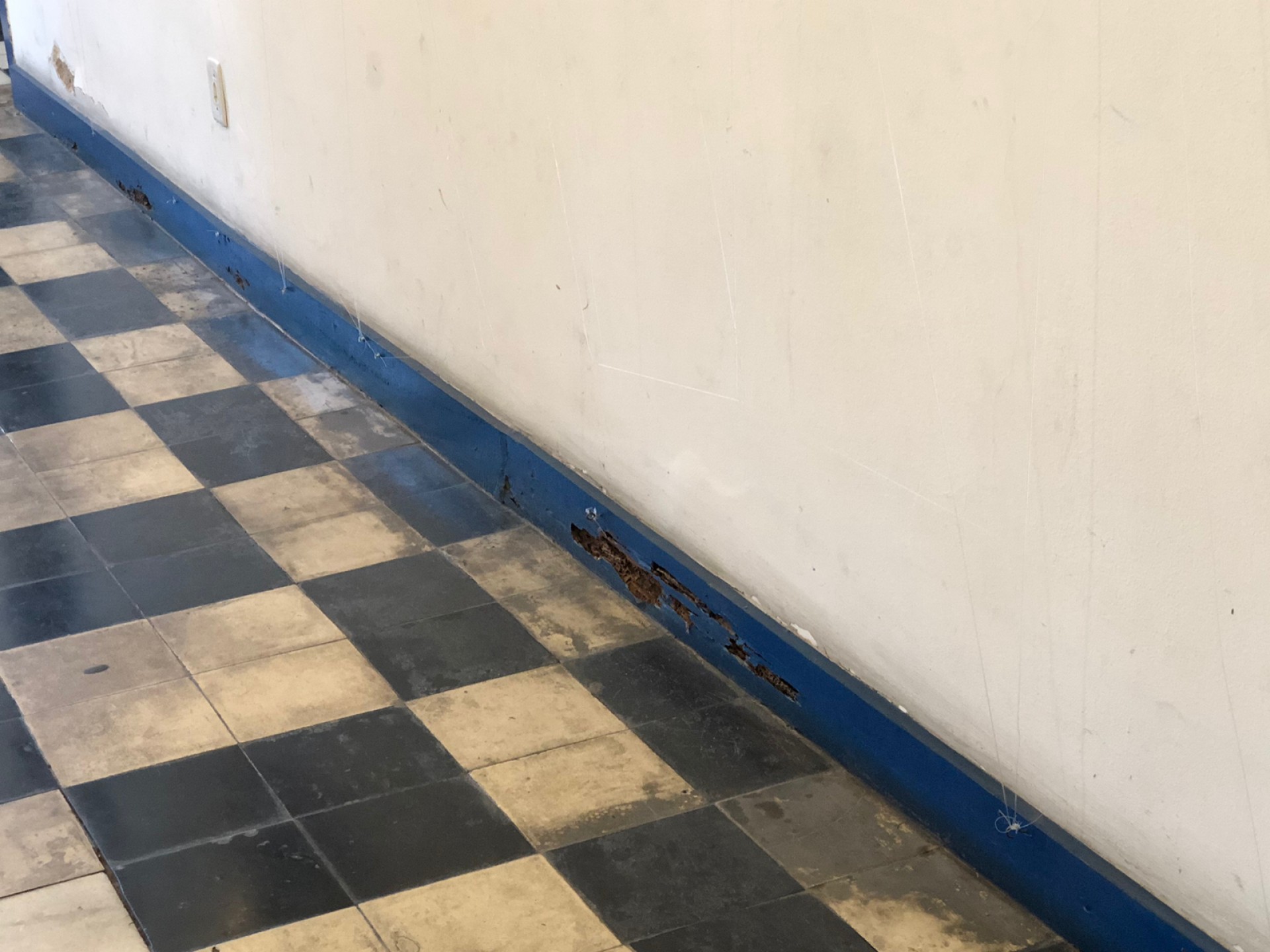 Charitas, em Cabo Frio - João Oliveira (RC24h)