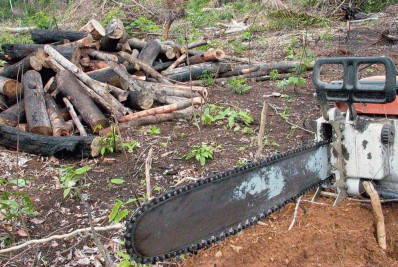 Desmatamento na Amazônia em 2022 é o maior em 15 anos, diz Imazon