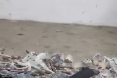 Homem é baleado em confronto com a PM em Nova Iguaçu