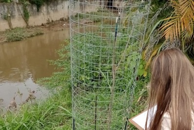 Secretaria de Meio Ambiente busca parceiros voluntários para o programa arborizar Nova Friburgo