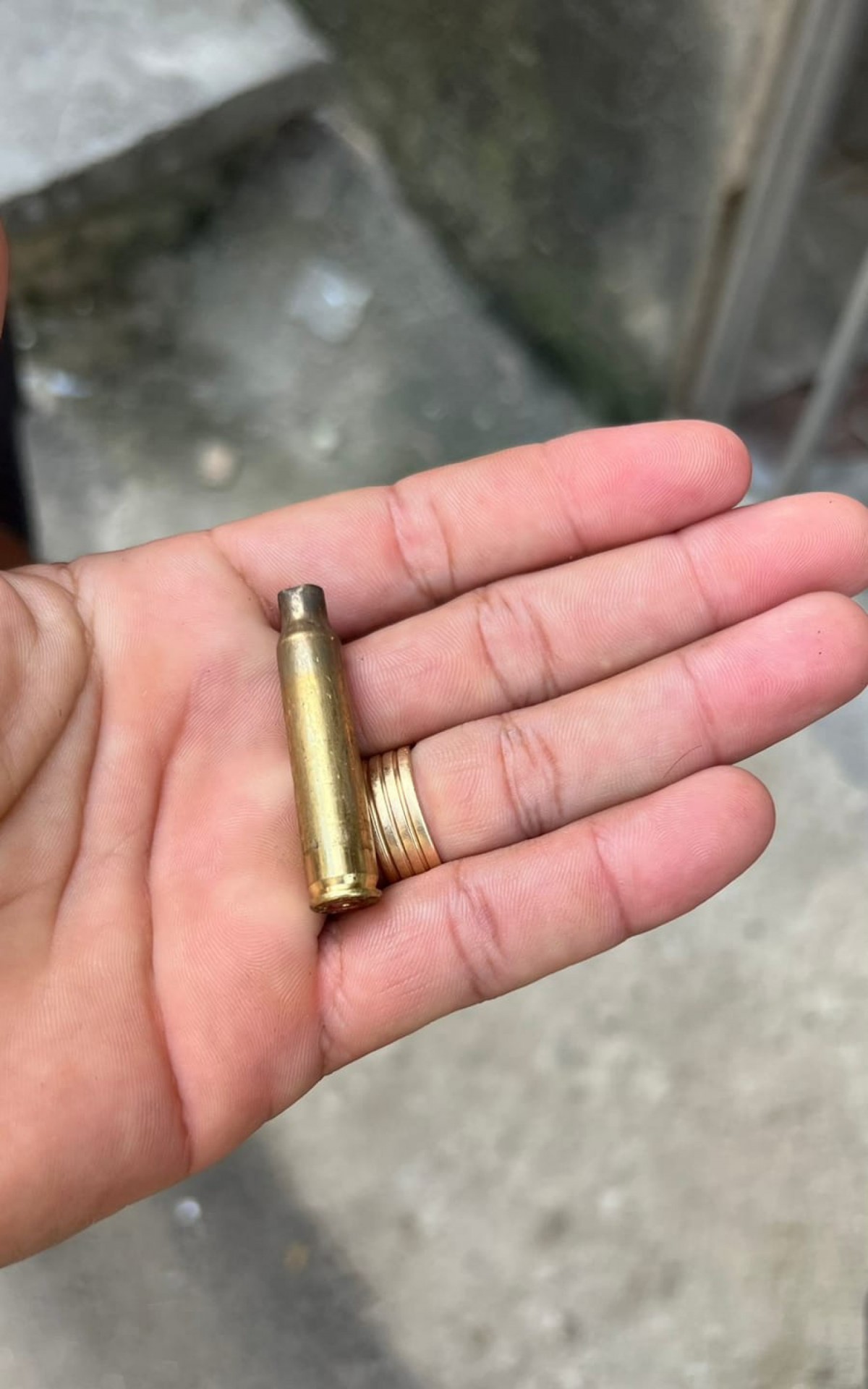 Casas de moradores foram atingidas por balas perdidas durante o intenso tiroteio na Gardênia Azul - Rede Social