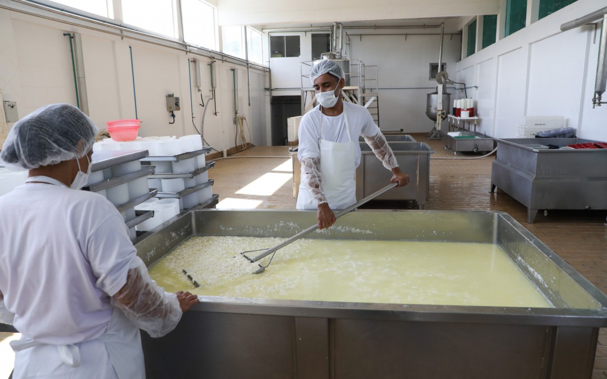 Produção do quejo Sítio Solidão em Miguel Pereira que recebe apoio de projeto do Governo do estado - Divulgação