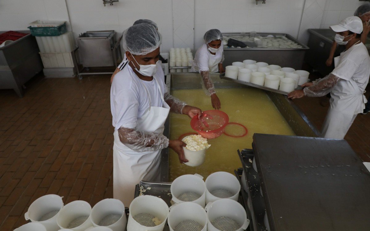 Produção do quejo Sítio Solidão em Miguel Pereira que recebe apoio de projeto do Governo do estado - Divulgação