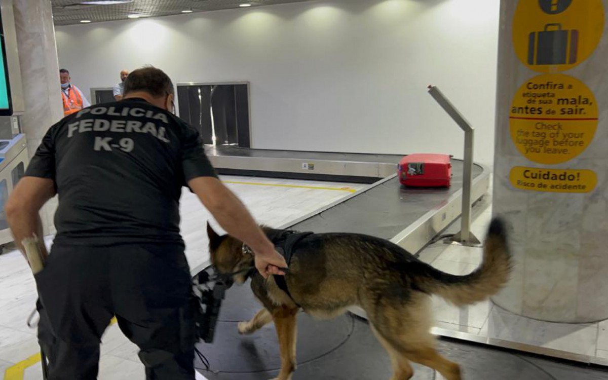 A operação contou com a presença de cães farejadores - Divulgação/PF
