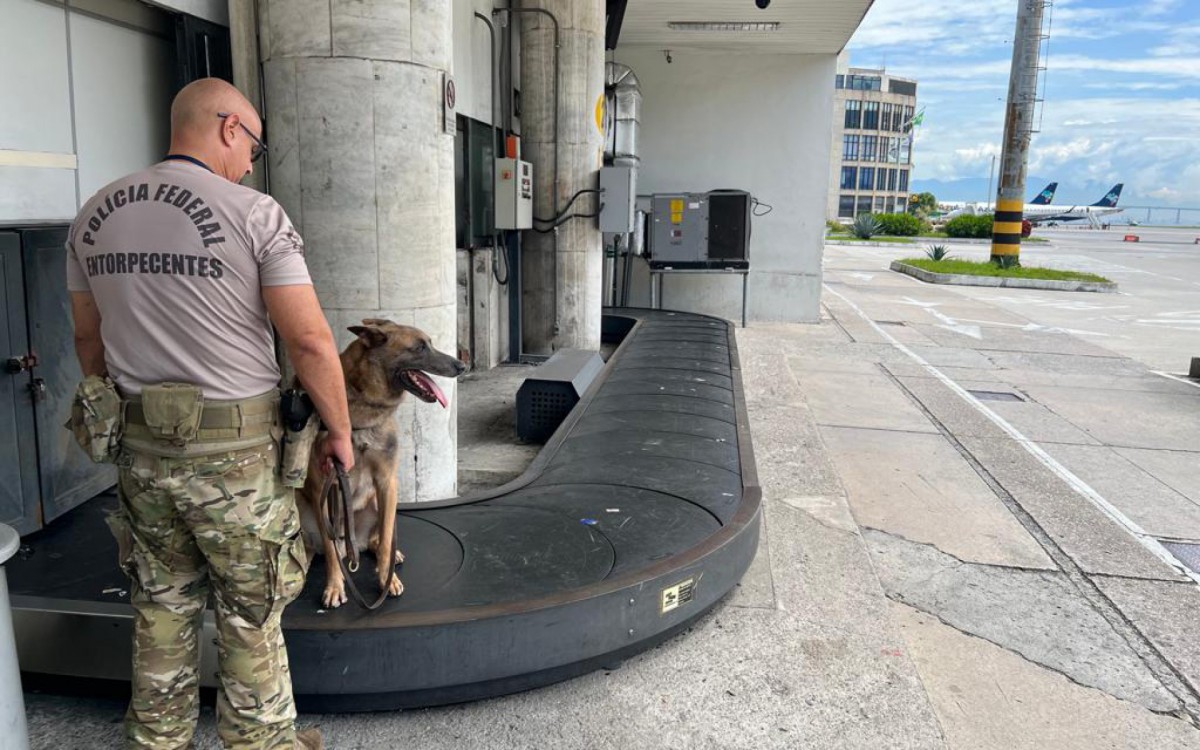 A operação contou com a presença de cães farejadores - Divulgação/PF