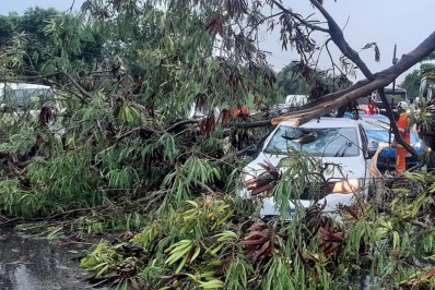 Chuva forte derruba árvores, causa transtornos e Rio entra em estágio de atenção