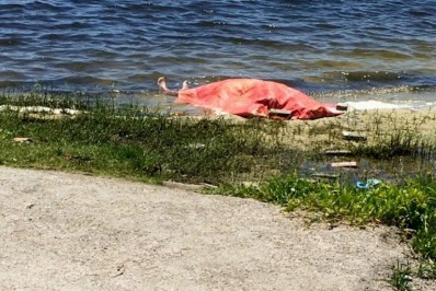 Cadáver é encontrado boiando na lagoa na Barra em Maricá