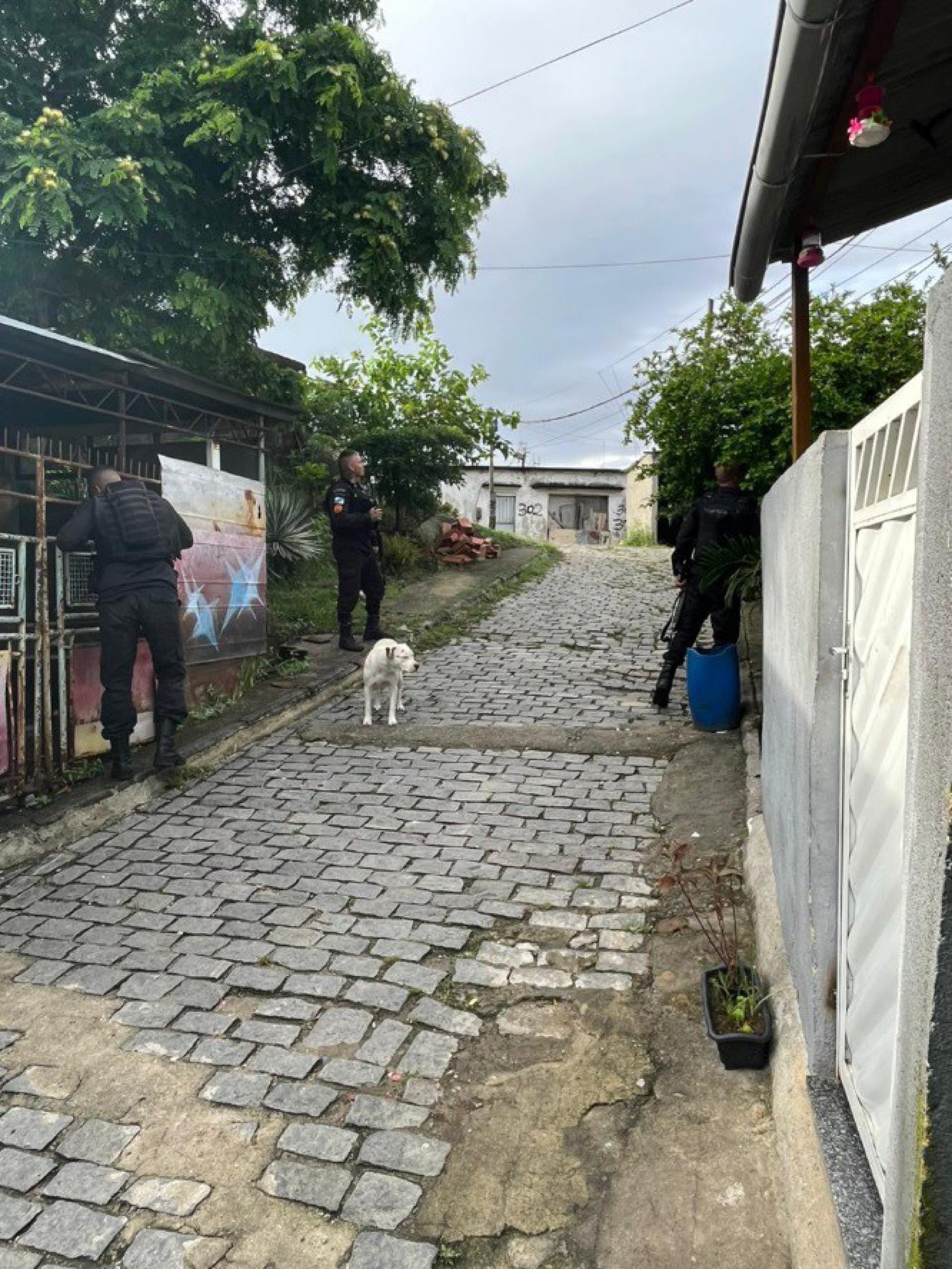 Homens do 9&ordm; BPM (Rocha Miranda) atuam nas comunidades da Primavera e Fazenda, localizadas em Cavalcante